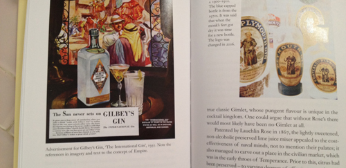 gin a global history book