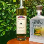 Pisco