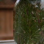 Infusions