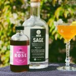 Art in the Age SAGE