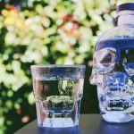 Crystal Head Vodka