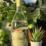 Kilinga Bacanora: Sonora’s Hidden Gem